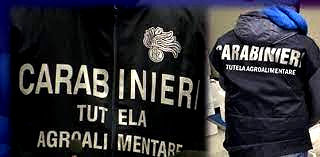 Operazione “margherita, denunciati per frode in commercio i titolari di 13 note pizzerie