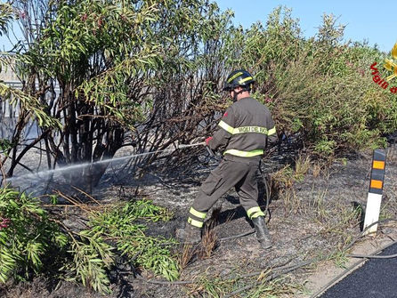 [Ancora incendi a ridosso dei vivai a Terme Vigliatore, autostrada A20]