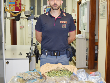 [Arrestato 38enne messinese, l'uomo coltivava marijuana ai fini di spaccio]
