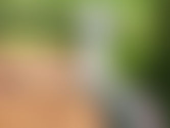 Marcas de Ropa Ecológica en Perú