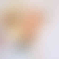 Rose and Orchid Brides Bouquet