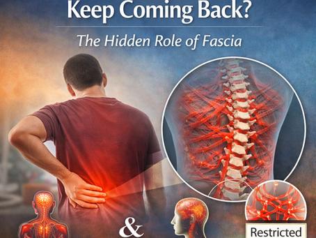 Why Does My Back Pain Keep Coming Back? The Hidden Role of Fascia