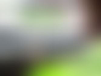 Top Facts About Shuttle Buses You Must Know: Let’s Find Out