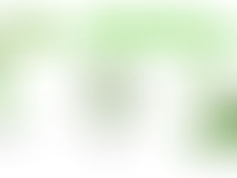 Externships Build Stronger Communities, Not Just Careers