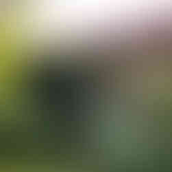 a stain glass horse installation at Goodstone Inn