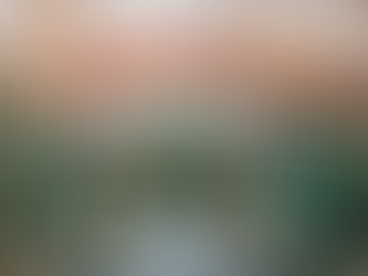 Carriage House at Christmas time