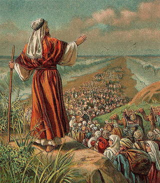 Adult Sunday School-Genesis to Revelation