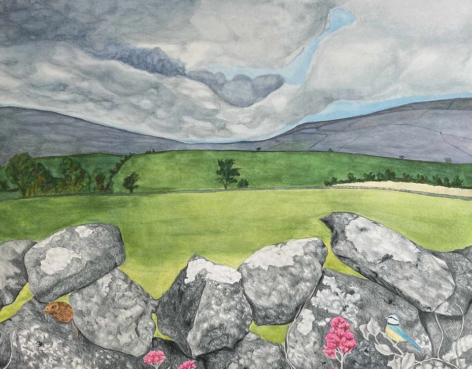 County Clare 2025 1920.jpg