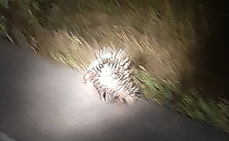 473439905_614474220950925_1379571000128275909_n.jpg
