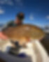 CaptWills_Redfish.jpg