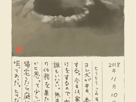 「あすかの日記」