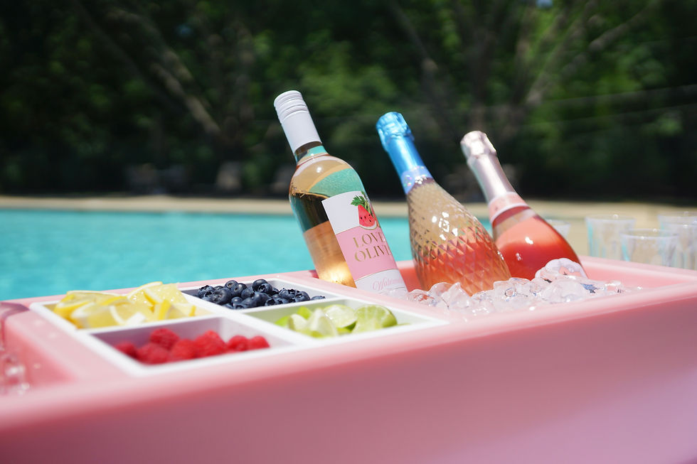 Stems & Sips Blush Bar, pink REVO cooler