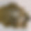 Thumbnail: Wax melt snap bars, highly fragranced