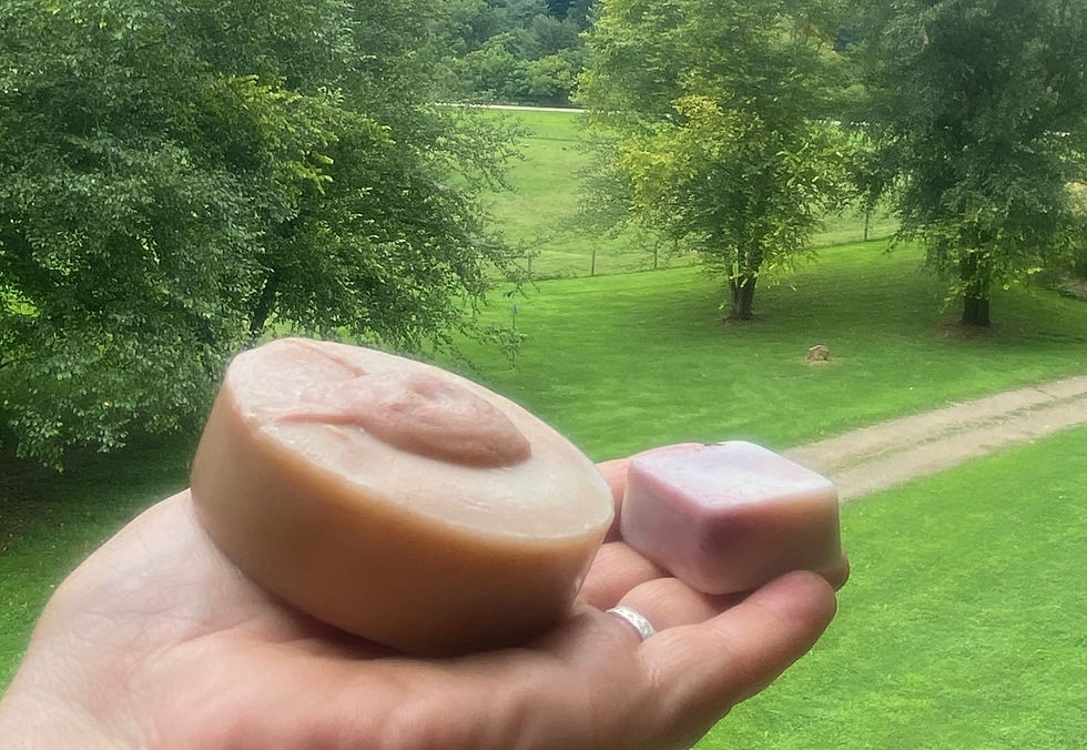 Thumbnail: Shampoo Bars- Many Scents -  made with Raw Goats Milk