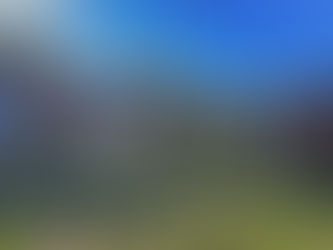 Acto conmemorativo al General Francisco Ramirez a 237 años de su nacimiento