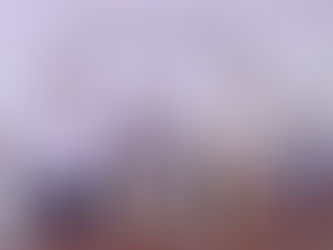 El director de Aduanas visitó Concordia