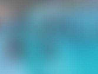 Culminó la colonia de adultos 2024 de Colón