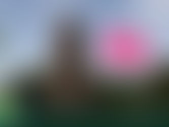 Se inició la construcción del Mirador del Río en el Paseo de la Peninsula