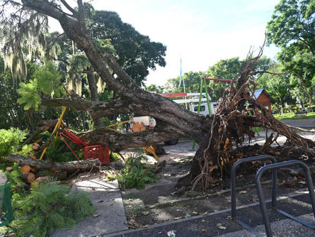 La Municipalidad trabaja en los espacios públicos luego del temporal