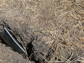 El sector productivo entrerriano atraviesa una de las campañas más críticas de los últimos 50 años