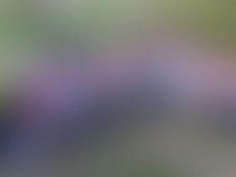 Armando Gay: “Las juventudes serán protagonistas en la Concordia que viene”