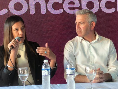 Viganoni: "Si gestionarían bien no necesitarían salir a prometer favores a cambio del voto"