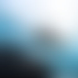 Bien-Être – Découvrir son Animal totem