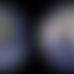 Green Lifestyle : Réduire son impact carbone web