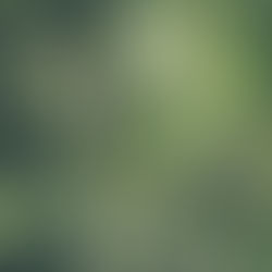 Green Lifestyle : Comment améliorer la qualité de l’air chez soi?