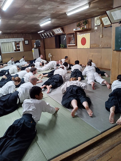 51cdd7ee-afbe-48f3-93df-3e38cf19355e(1).JPEG