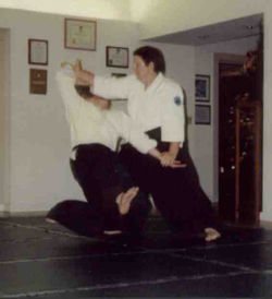 Aikido Hilo Hawaii.jpg
