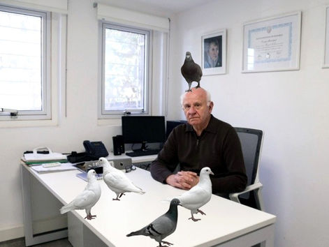 Cucurrucucu! Miguel Angel Tessandori contra las Palomas!