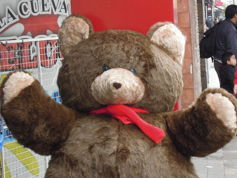 Un peluche cortó el tránsito de Rosario por algunas horas