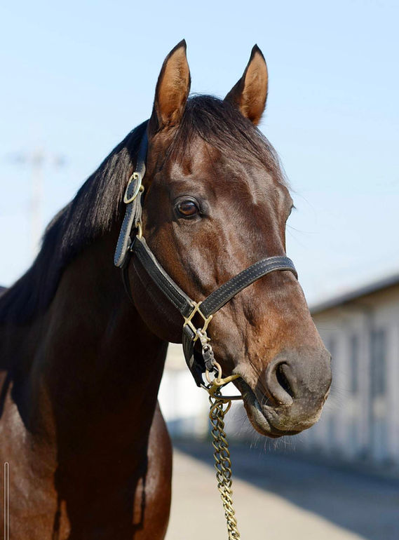 リフレーミング 顔