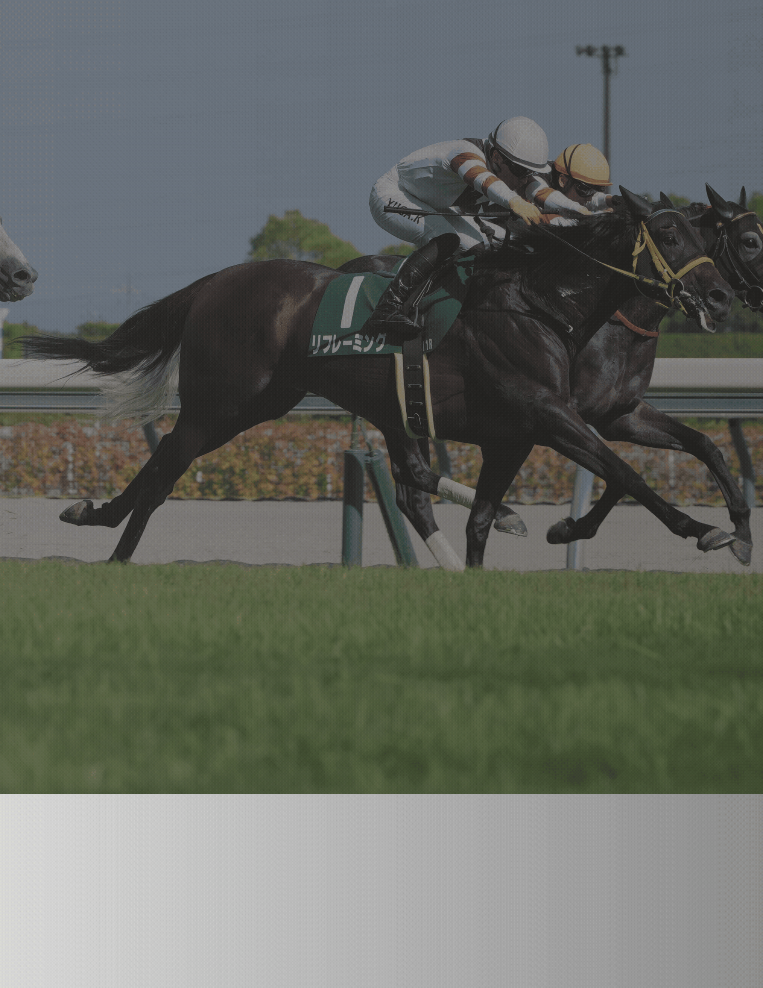 小倉記念 analysis.gif