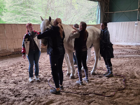 TEAMBUILDING Z LIPICANCI