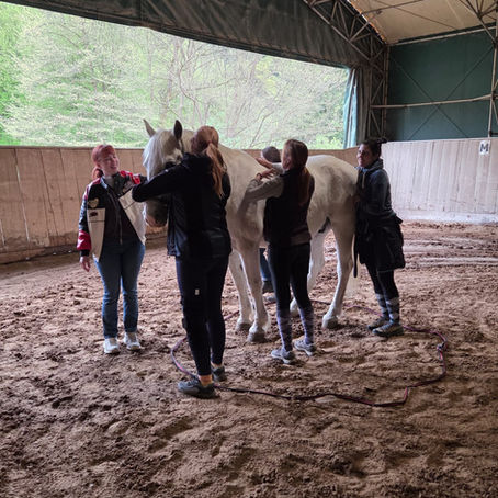 TEAMBUILDING Z LIPICANCI