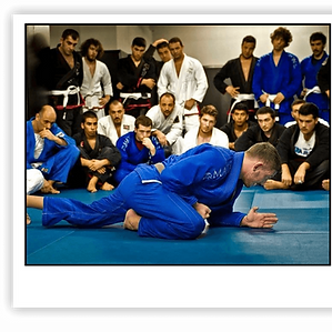 bjj (1).png