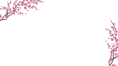 Untitled design (4).png