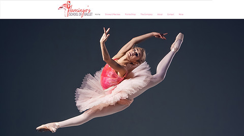 flamingos_home.jpg