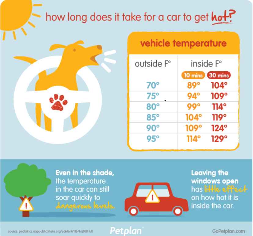 HEAT WAVE warning!