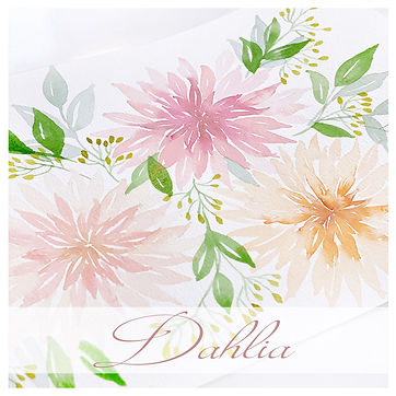 dalia b.JPG