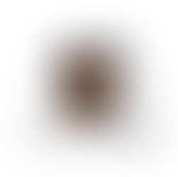 The Best Halloween Ideas