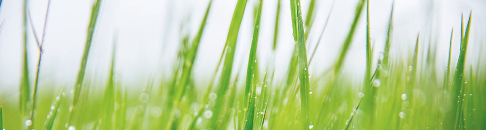 anton-repponen-MPhTBGi9pNA-unsplash_edit