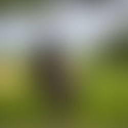 Yvonne met haar paard; moment van liefde en verbondenheid, rust in de natuur