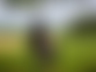 Yvonne met haar paard; moment van liefde en verbondenheid, rust in de natuur