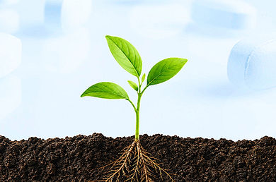 plantje met wortels in aarde; tabletten op de achtergrond