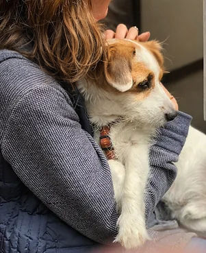 vrouw met hondje op schoot