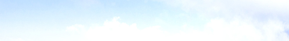 ruy-reis-v58Sdcjoz2k-unsplash_edited_edi