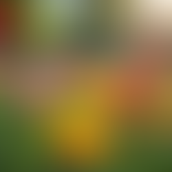 Harnessing the Power of Social Impact Programs to Drive Meaningful Change